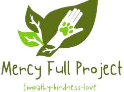 mercyfullprojects