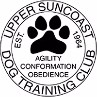 no anesthesia dog dental cleaning partner location