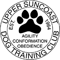 no anesthesia dog dental cleaning partner location