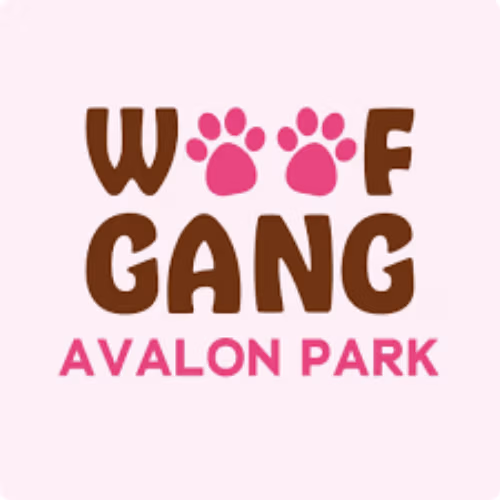 Non-anesthesia pet dental cleaning partner location