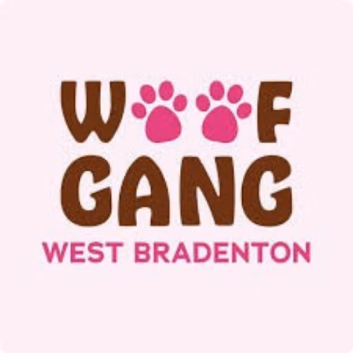 Non-anesthesia pet dental cleaning partner location