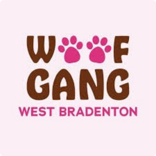 Non-anesthesia pet dental cleaning partner location