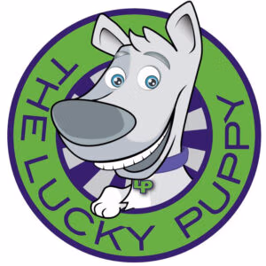 Pet dental cleaning partner non-anesthesia pet dental cleaning