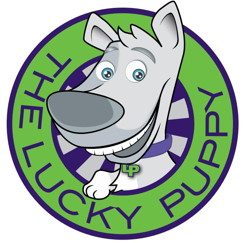 Pet dental cleaning partner non-anesthesia pet dental cleaning