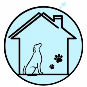 dog dental cleaning