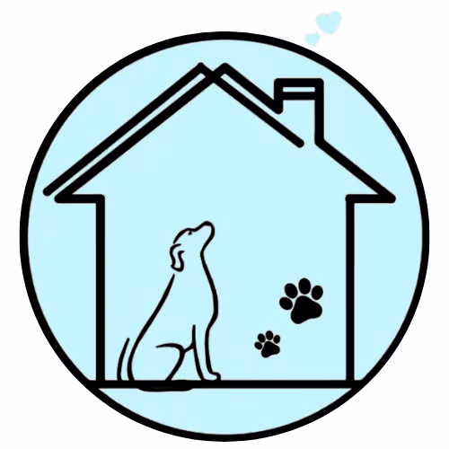 dog dental cleaning
