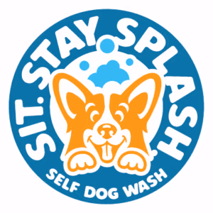 Dog dental cleaning