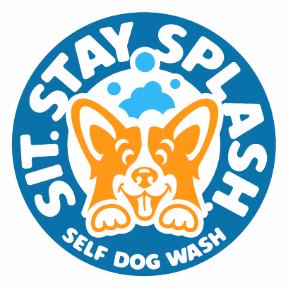 Dog dental cleaning