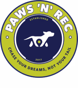 Pet Dental Cleaning Partner
